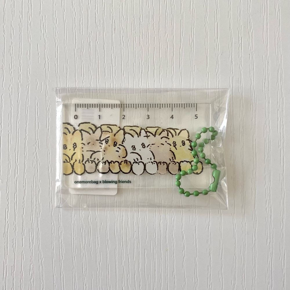 One More Bag x Blowing Friends Korean Artist Mini Ruler Cm Keychain